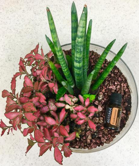 26982026_10101814277924861_1704863871_o